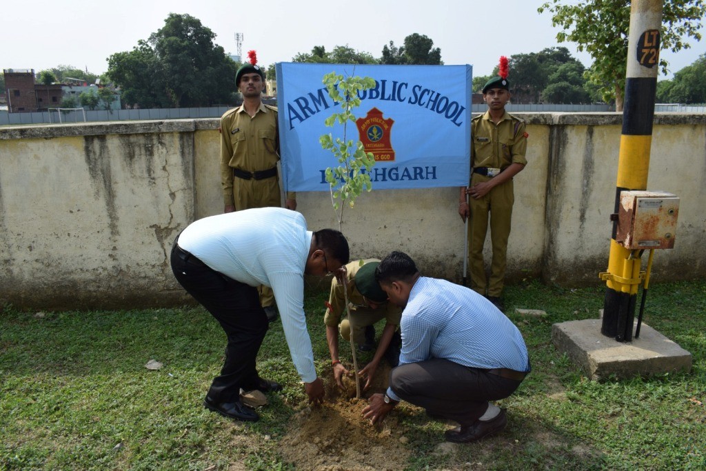 PLANTATION DRIVE 05 JUNE 2025